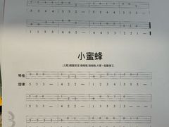 -缪斯琴行英皇小提琴.钢琴.吉他(张江店)
