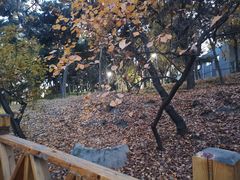 景点-长辛店二七公园