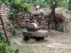 -大岭沟猕猴桃谷风景区