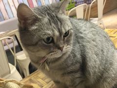 妹妹-小时光咖啡馆(开森度假森林店)