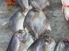 -非烤勿扰自助烤肉海鲜火锅(南城莱蒙店)