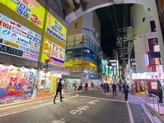 -秋叶原电器街