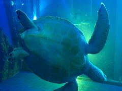 -成都浩海立方海洋公园