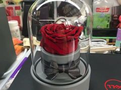 -ROSEONLY诺誓(沈阳万象城店)