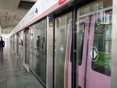 -园博园(地铁站)