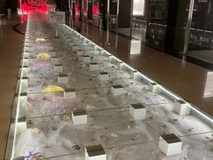 -青岛贝壳博物馆