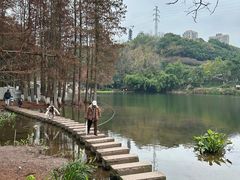 -重庆彩云湖湿地公园
