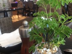 -圣丰索菲特·2 On 988 Café 自助餐厅