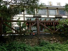 -南宁良凤江国家森林公园