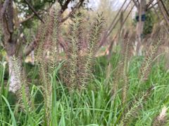 -回龙观体育文化公园