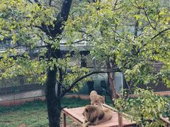 -昆明动物园