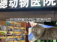 -pd派德宠物中心医院24H急重症·眼科中心·血液透析中心(嵩山北路店)