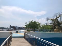 -秦皇岛乐岛海洋王国