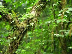 -西岭雪山大飞水景区