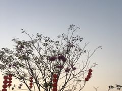 -白石龙音乐公园