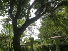 -狐尾山公园