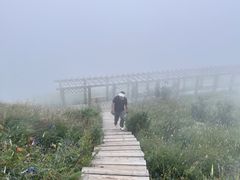 -白草畔自然风景区