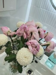 -熙朵美学植发·连锁品牌