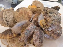 特色扇贝-华圆美食