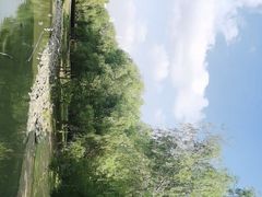 -长广溪湿地公园