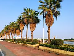 -大湾区中央湿地公园-十九涌