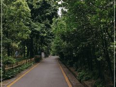 -黔灵山公园