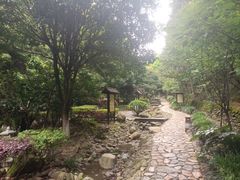 -明月山天沐温泉度假村