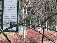 -天鹅湖体育公园