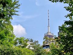 -成都市活水公园