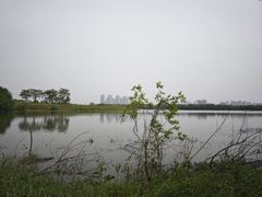 -盘龙城国家考古遗址公园