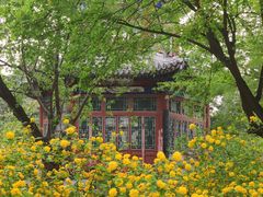 -宣武艺园