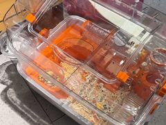 -FAELING PETS美天灵宠物(富力广场店)