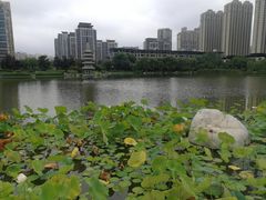 -木塔寺遗址生态公园