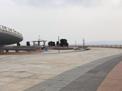 -演武大桥观景平台