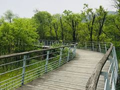 -西湖风景区-江洋畈生态公园