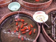 -中环花鸟鱼虫市场