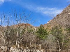-灵山