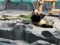 -秦皇岛野生动物园