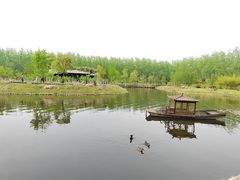 -合肥滨湖国家森林公园