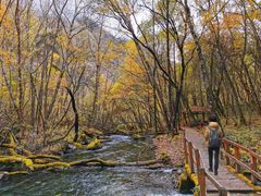 -叠溪松坪沟景区