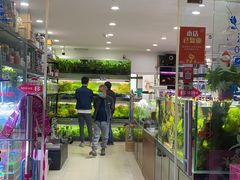-苏州艺都古玩花鸟市场