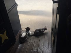 -星宿秘码(鼓浪屿老店)
