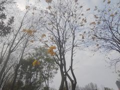 -府河摄影公园