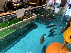 -ジャンボ釣船 つり吉(新世界店)