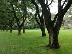 -西郊宾馆·1921餐厅
