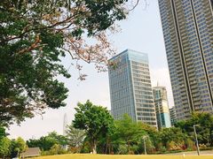-香蜜公园