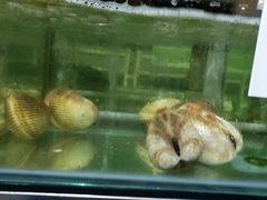 -国际金钻海鲜餐厅