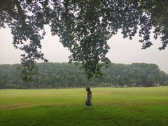 -河南省黄河迎宾馆