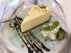 -飞行喵MR PILOT|猫舍·猫咖(静安大融城店)