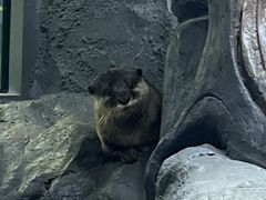 -海合安成都极地海洋公园